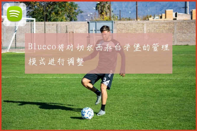 Blueco将对切尔西和白学堡的管理模式进行调整