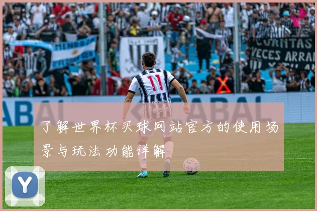 了解世界杯买球网站官方的使用场景与玩法功能详解